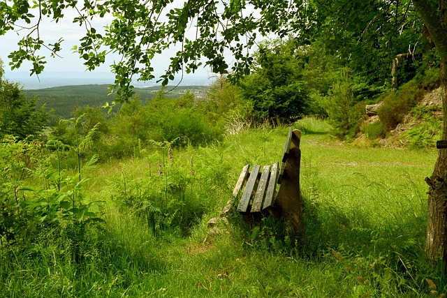 04：23 5名球员&2名教练遭驱逐！活塞森林狼爆发大规模冲突 迪温琴佐溅血.