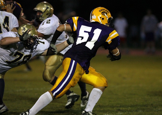 【原创】足彩分析软件分析：周四005欧联杯 法兰克福VS费伦茨.